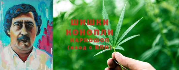 молекула духа Киренск