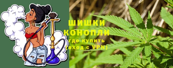 дживик Кинешма