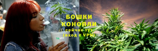 дживик Кинешма