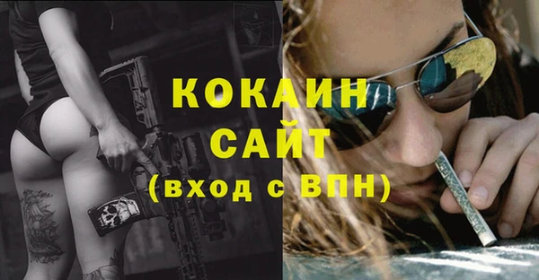 дживик Кинешма