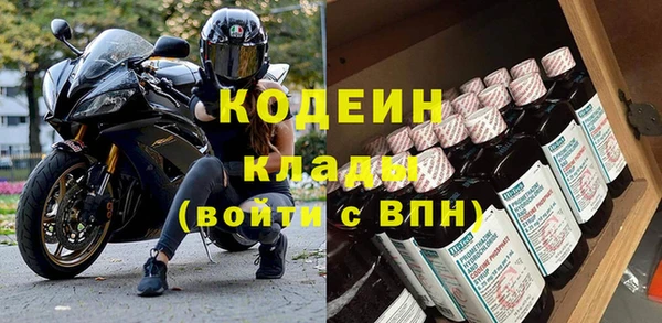 молекула духа Киренск
