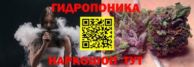 МДПВ Партизанск