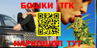 МДПВ Партизанск