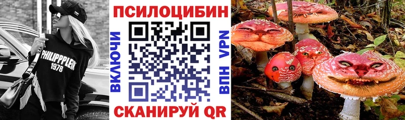 купить наркотик  Усть-Кут  Псилоцибиновые грибы Psilocybine cubensis 