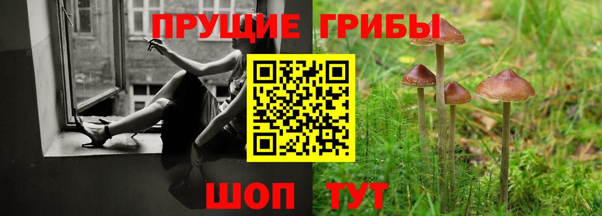 Галлюциногенные грибы MAGIC MUSHROOMS  Вход с VPN  Псилоцибиновые грибы прущие грибы  Усть-Кут 